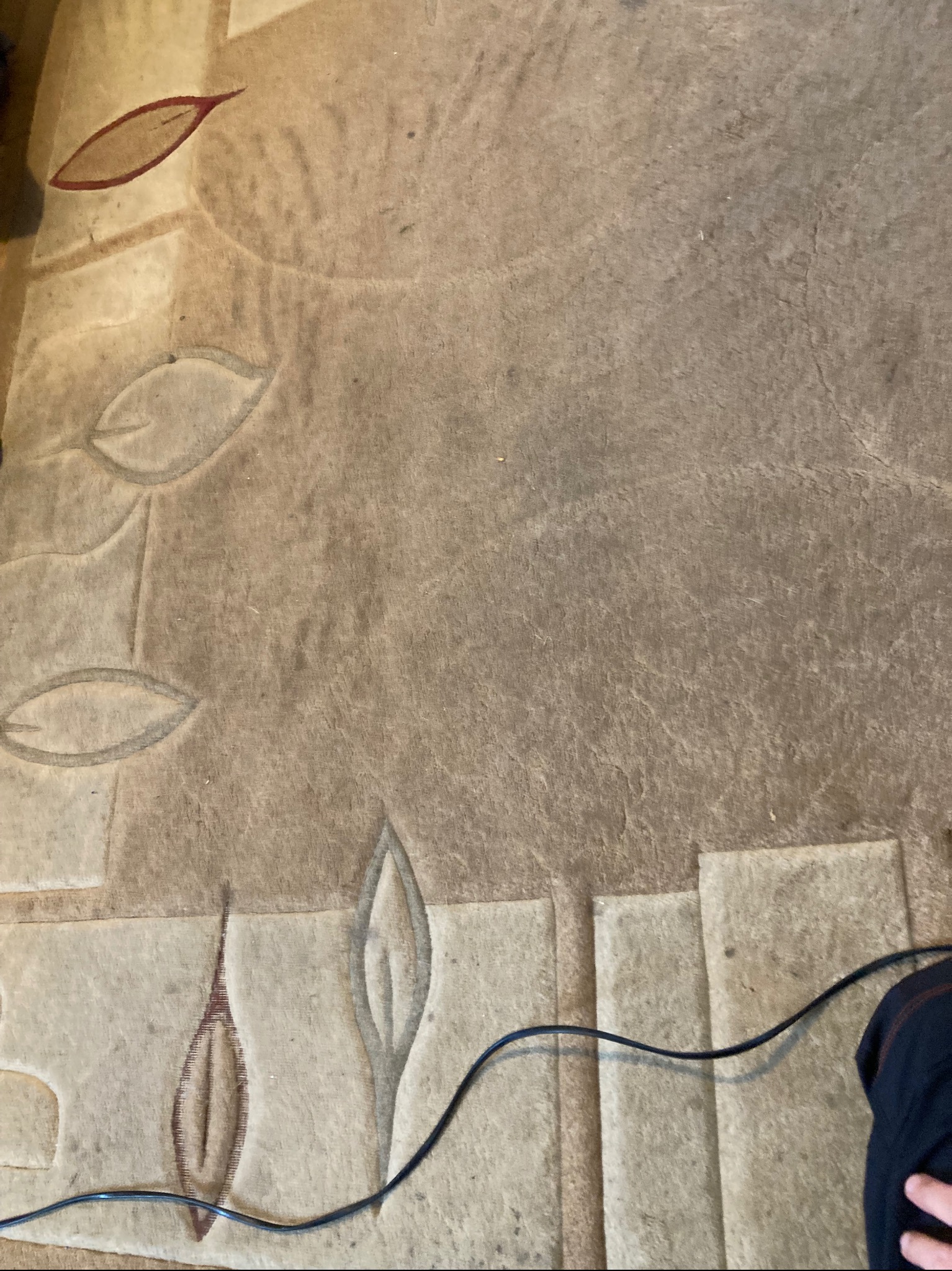 Beżowy dywan z roślinnym wzorem, widoczny fragment przewodu i dłoni. Tekstura dywanu jest wyraźna, z widocznymi śladami użytkowania.