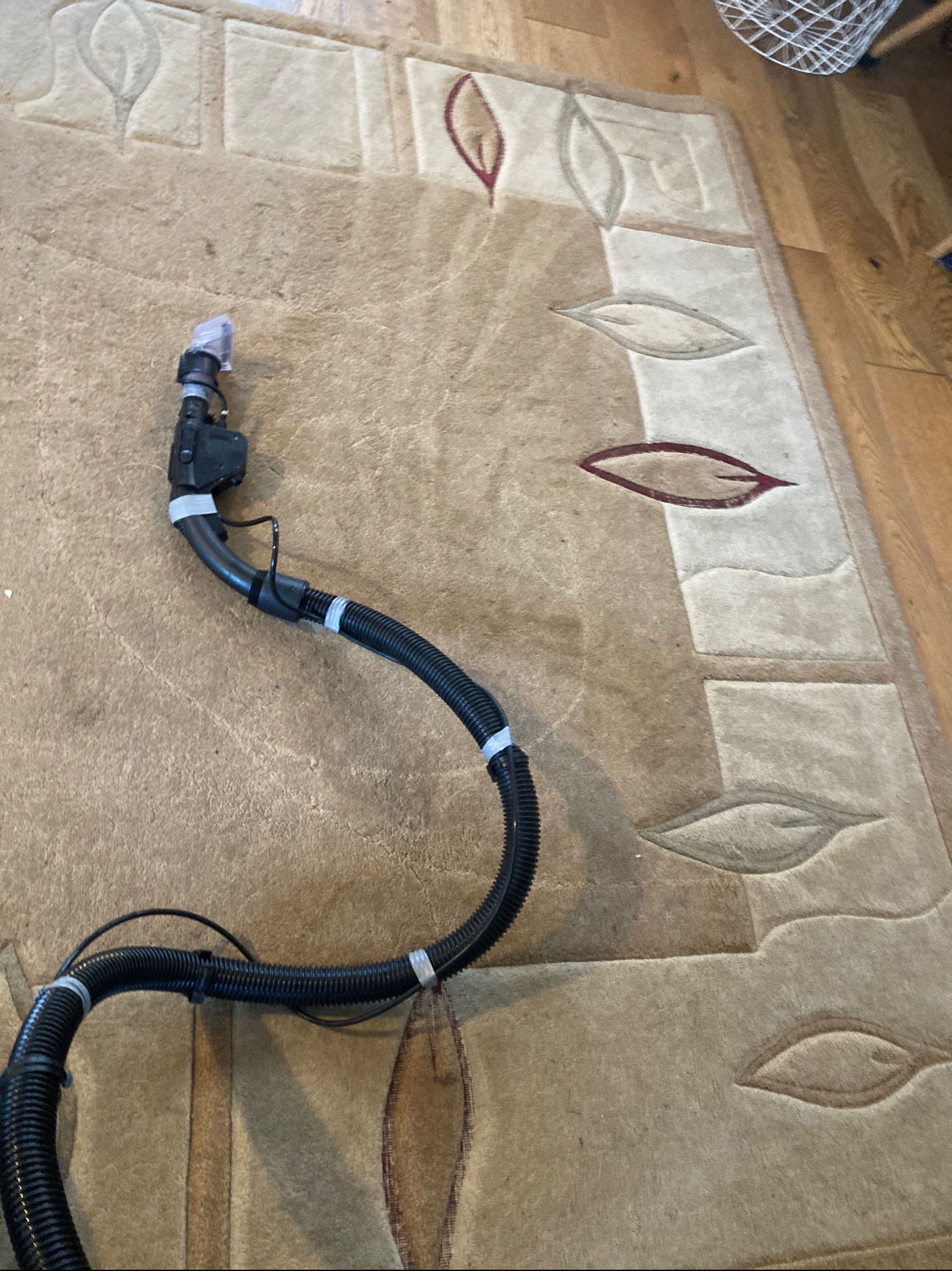 Dysza odkurzacza piorącego na beżowym dywanie z wzorem liści. Urządzenie gotowe do użycia, widoczne detale węża i końcówki.