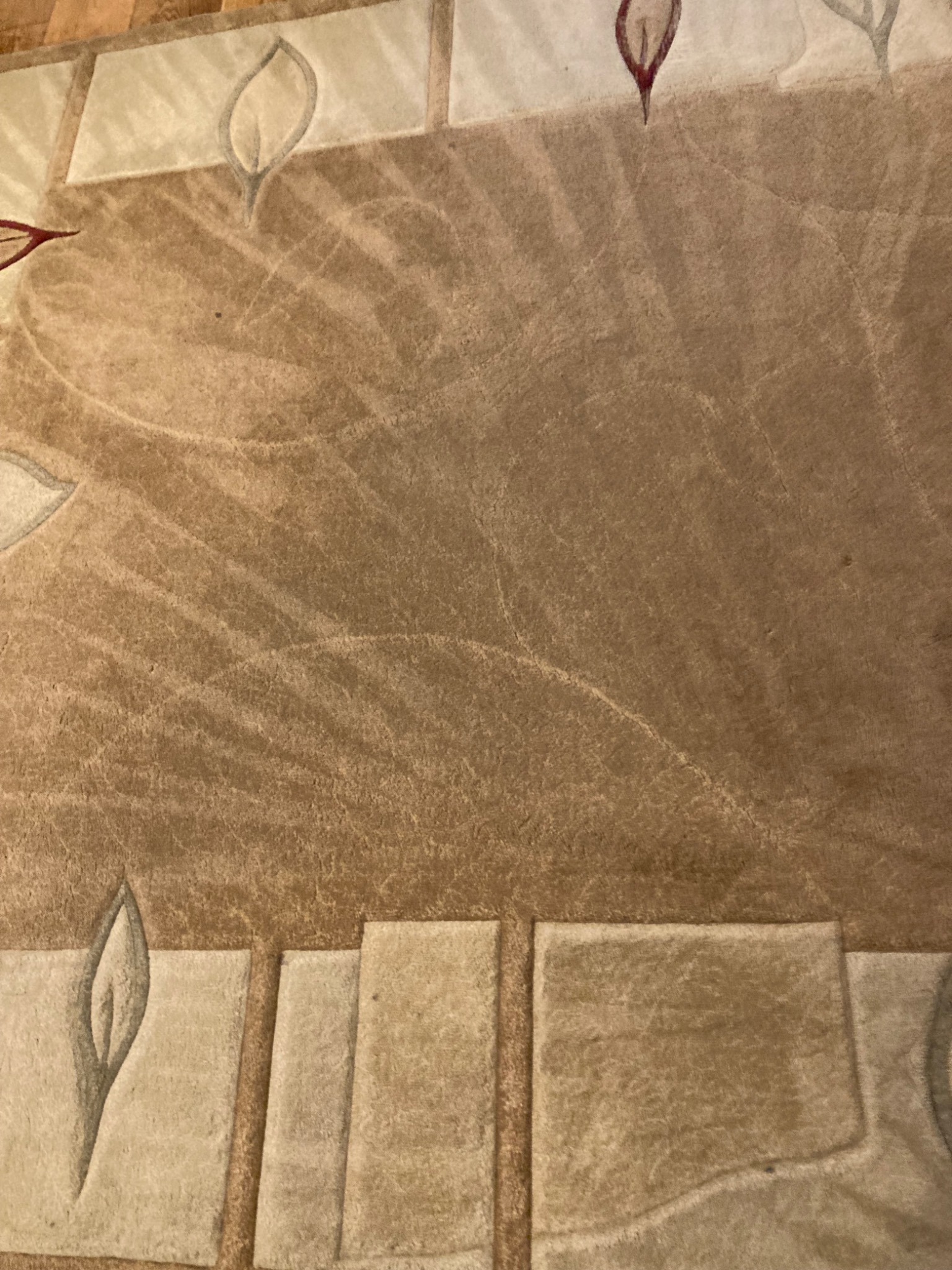 Beżowy dywan z wzorem w liście, widoczne ślady po czyszczeniu. Delikatne cieniowanie i wzory dodają charakteru.