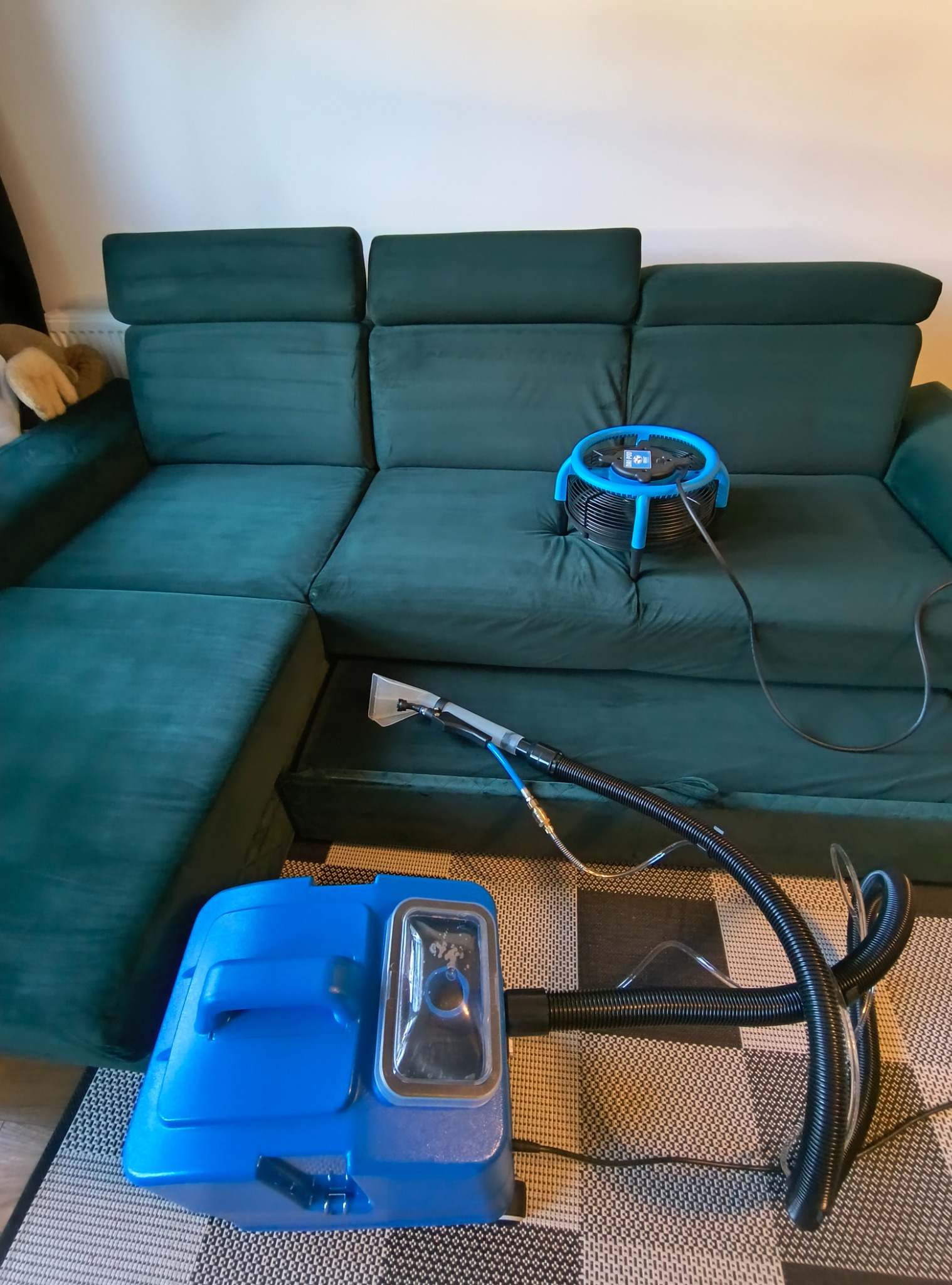 Szmaragdowa kanapa narożna z odkurzaczem piorącym i wentylatorem osuszającym, widoczne na dywanie w kratkę.