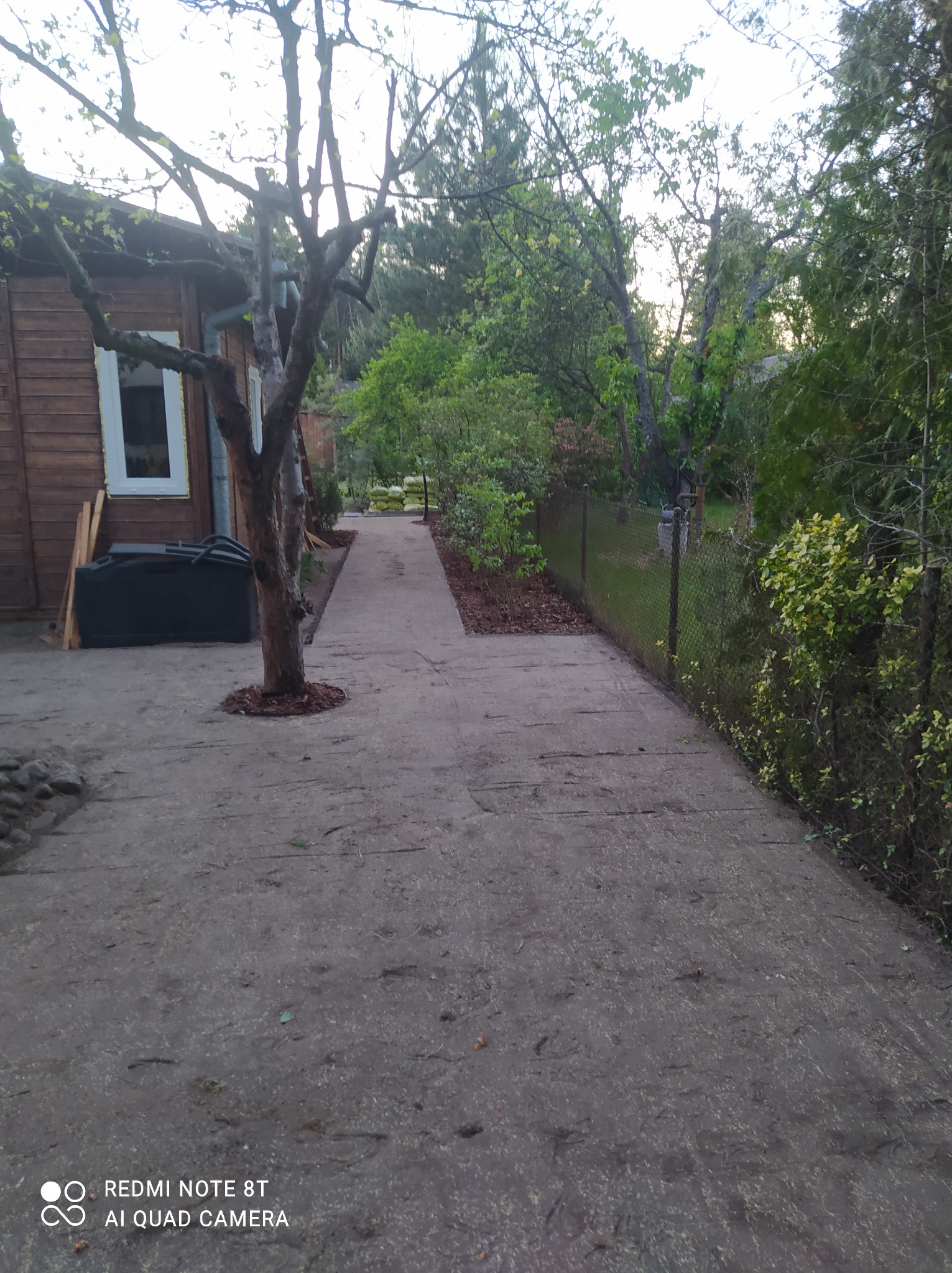 Betonowa ścieżka prowadząca przez ogród w kierunku drewnianego domku, z drzewem posadzonym w wyciętym otworze w kostce i podsypanym korą.