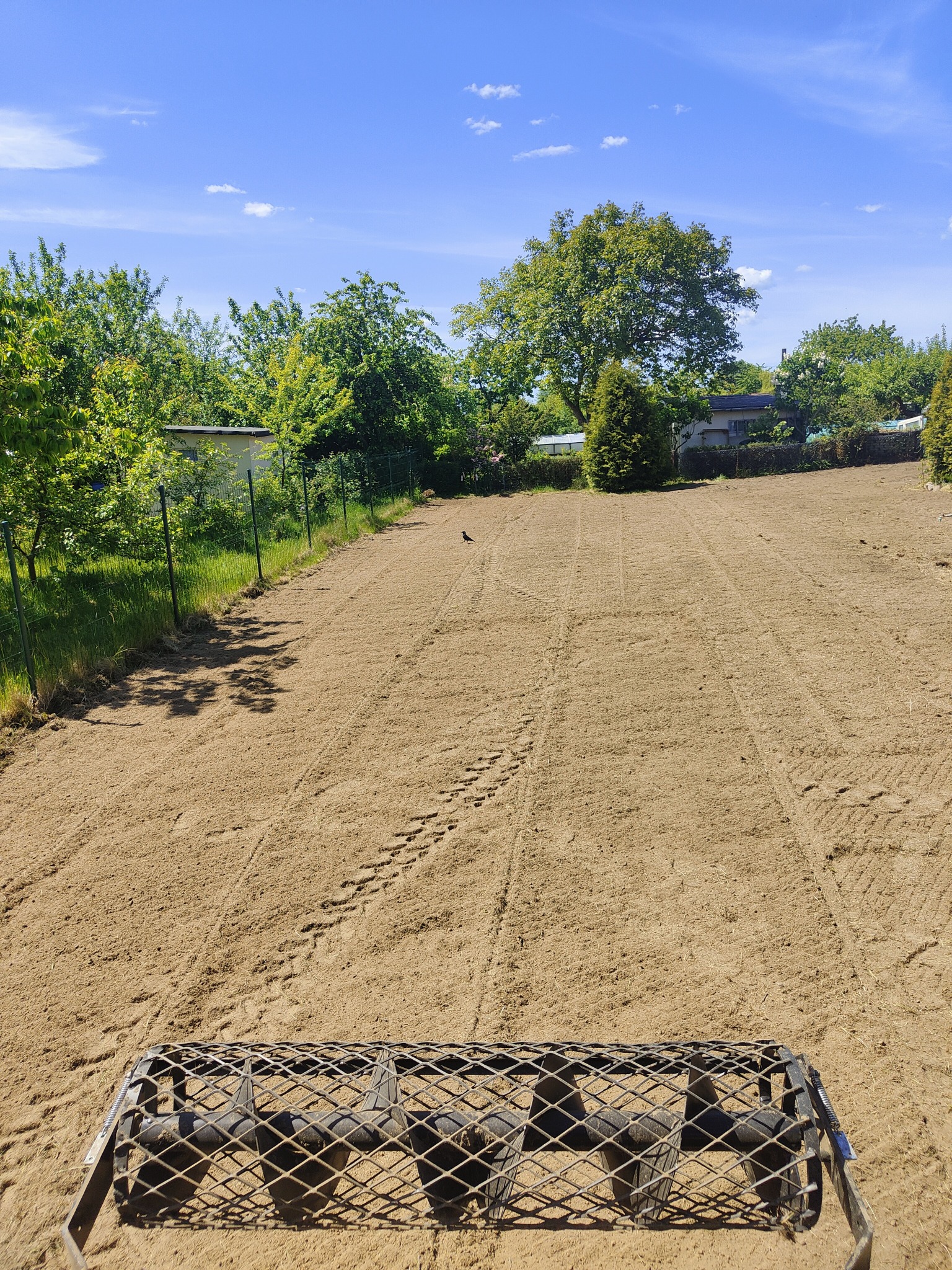 Przygotowany teren pod trawnik, wyrównana ziemia z widocznymi śladami walca ogrodowego, w tle zieleń drzew i krzewów oraz fragmenty zabudowań.