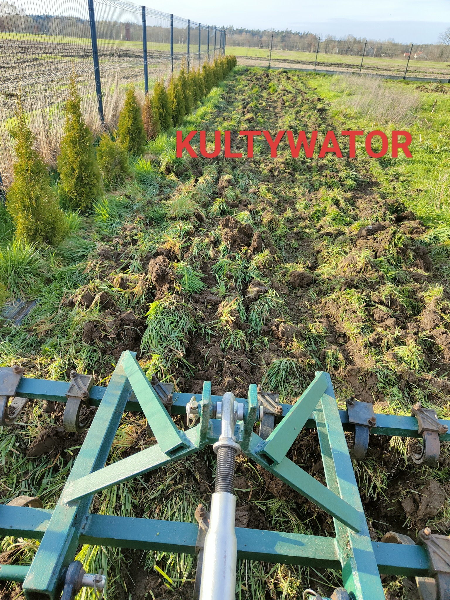 Widok z perspektywy operatora na bronę talerzową w trakcie pracy na polu, za nią rząd młodych drzewek iglastych wzdłuż ogrodzenia.