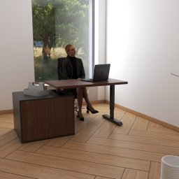 Infinito Design - Ergonomiczne biurko z regulacją wysokości w nowoczesnym gabinecie. Kobieta siedzi przy laptopie, za oknem widok na zieleń. Parkiet ułożony w jodełkę.