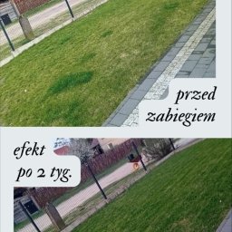 Projektowanie ogrodów Bobrowniki 1