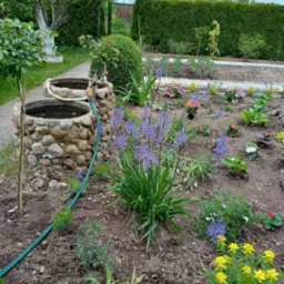 Ogród w Gorzowie Wielkopolskim z kamiennymi studniami, rabatami kwiatowymi z kwitnącymi irysami i nagietkami, oraz równo przyciętym żywopłotem w tle.