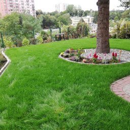 Mycie kostki brukowej Gorzów Wielkopolski 4