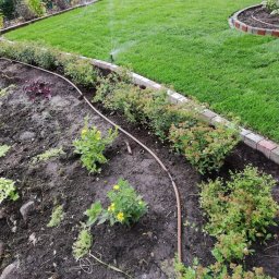 Marcin Kozłowski KozLOVEski - Fragment ogrodu z systemem nawadniania kropelkowego; widoczne rośliny, rabata obrzeżona kostką i trawnik ze zraszaczem.