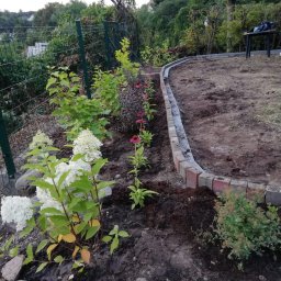 Marcin Kozłowski KozLOVEski - Fragment nowo założonego ogrodu z obrzeżem z kostki, świeżo posadzone rośliny ozdobne: hortensje i jeżówki, ziemia przygotowana pod nasadzenia, widoczne kamienie i siatka ogrodzeniowa w tle.