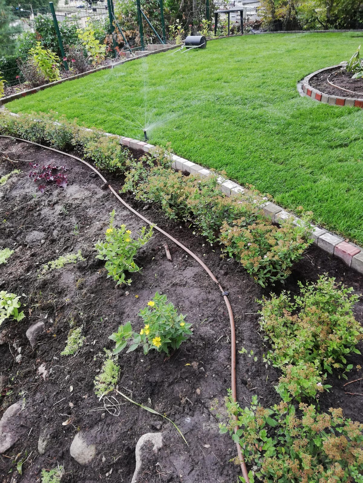 Fragment ogrodu z systemem nawadniania kropelkowego; widoczne rośliny, rabata obrzeżona kostką i trawnik ze zraszaczem.