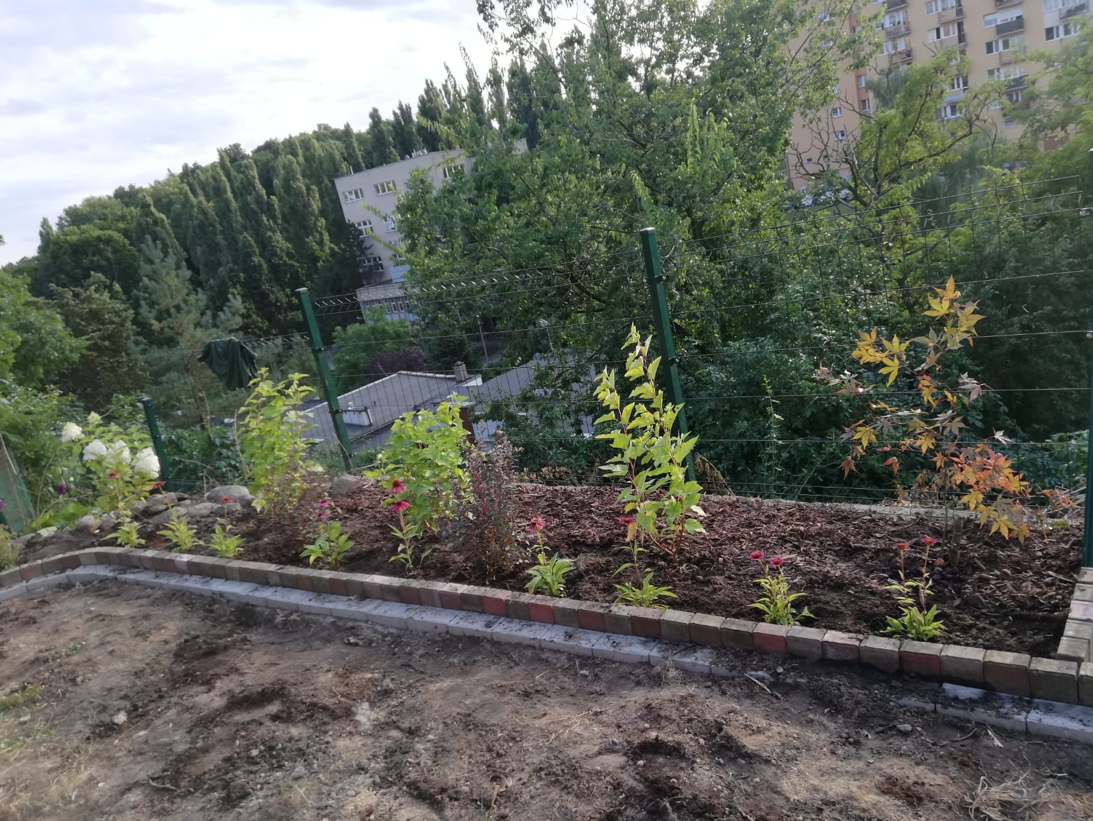 Nowo założony rabat kwiatowy z obrzeżem z cegieł i młodymi sadzonkami, widok na osiedle mieszkaniowe w tle.