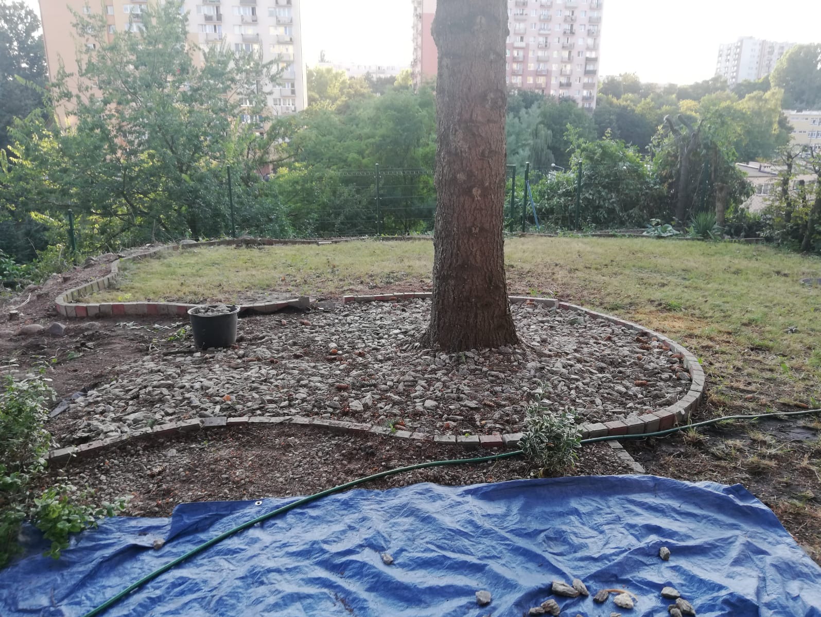 Kształtowanie terenu wokół drzewa z użyciem kamieni i obrzeża z cegieł, widoczna niebieska plandeka i wąż ogrodowy, w tle zabudowa wielorodzinna.