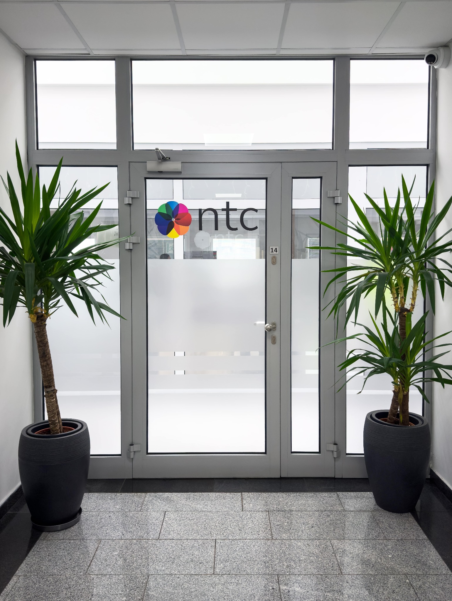 Szklane drzwi wejściowe do biura z logo firmy NTC i numerem 14, flankowane przez dwie juki w ciemnych donicach na szarej posadzce.