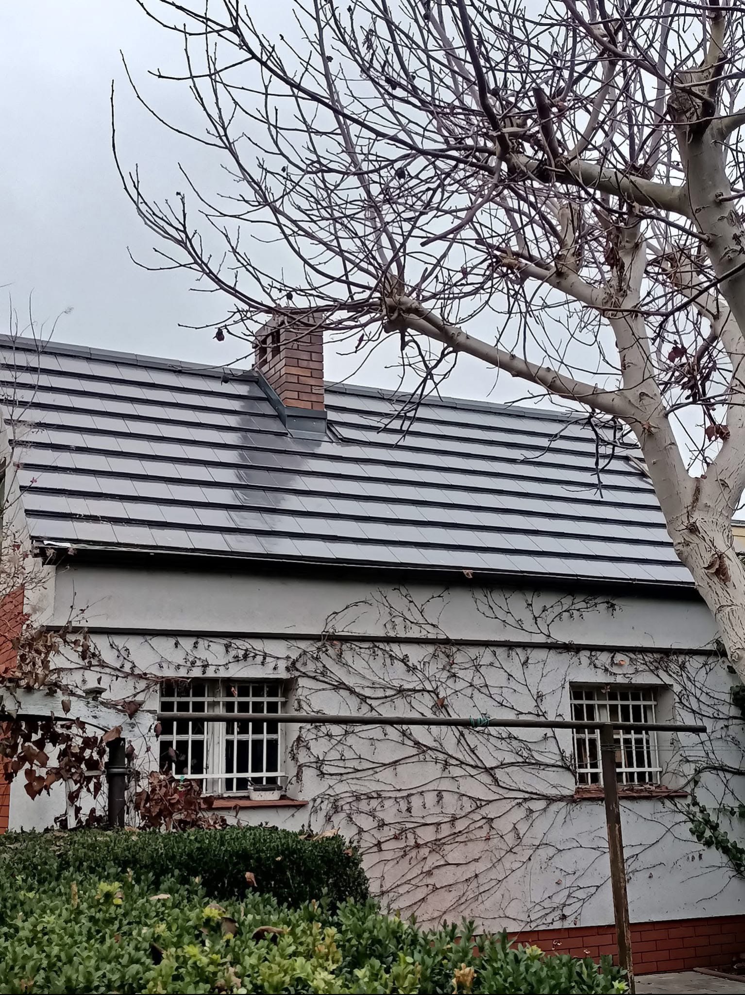 Nowy, ciemnoszary dach z ceramicznej dachówki na parterowym budynku z ceglanym kominem, widoczny zza drzewa bez liści i pnączy na ścianie.
