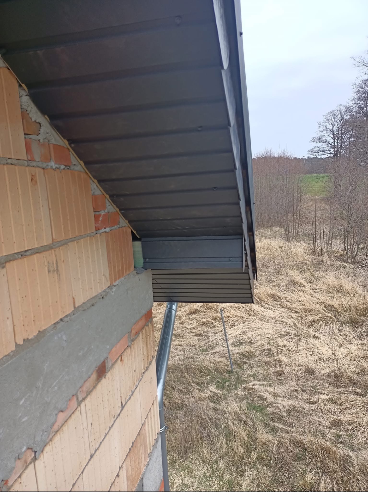 Fragment dachu z szarej blachy trapezowej, widoczna ściana budynku z cegły oraz rynna spustowa, w tle łąka z suchą trawą i drzewa.