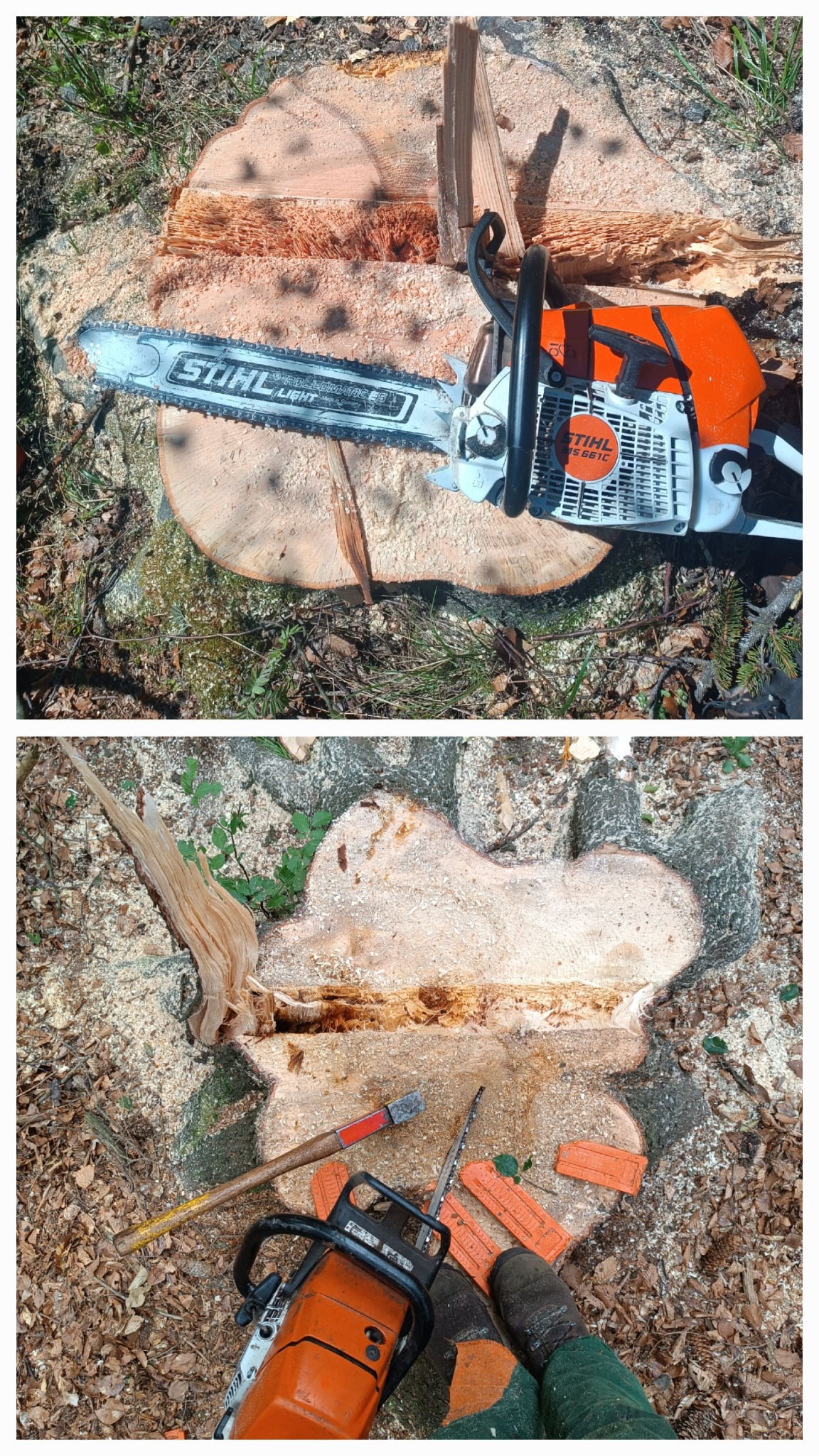 Widok z góry na świeżo ścięty pień drzewa z leżącą na nim piłą łańcuchową Stihl, obok leżą wióry i odłamki drewna, a w drugim ujęciu widać dodatkowo siekierę, kliny i buty osoby wykonującej pracę.