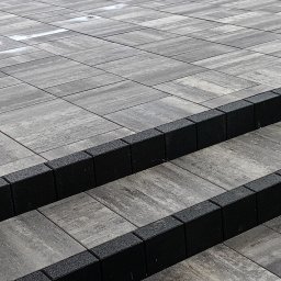 Wycinka drzew Lubicz 1