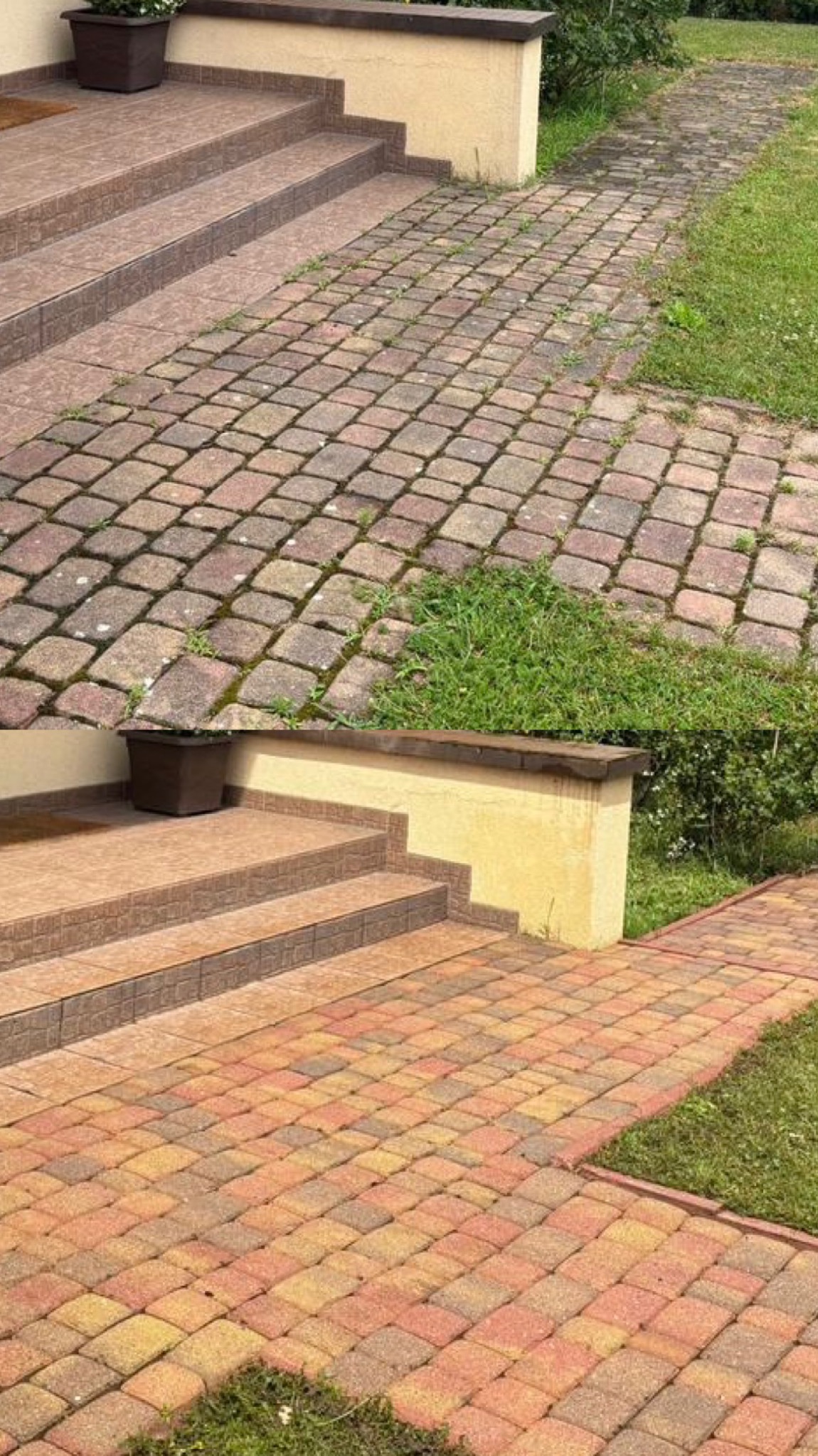 Zaniedbana kostka brukowa przed domem z widocznymi porostami i chwastami rosnącymi w spoinach, sąsiadująca z trawnikiem.