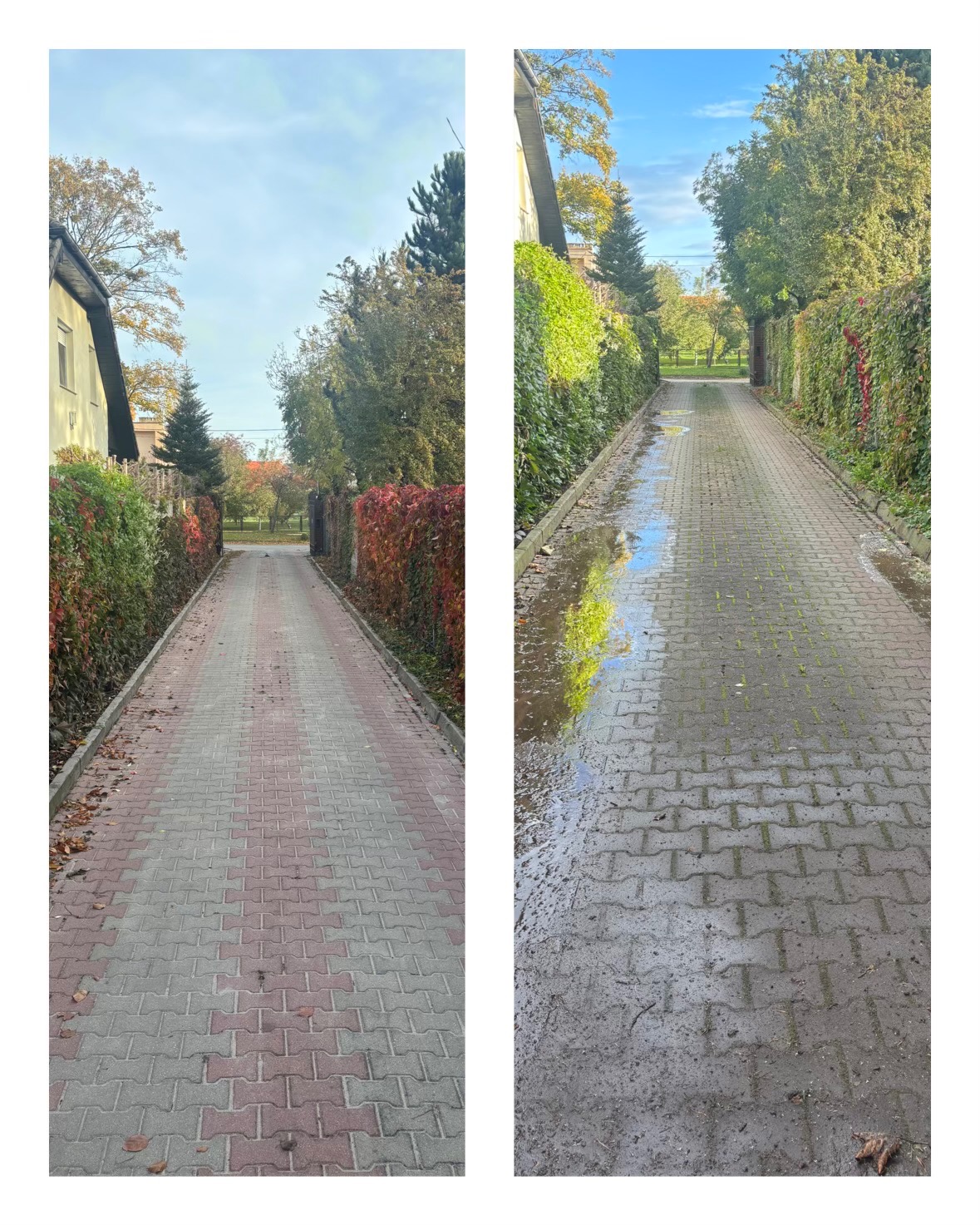 Porównanie stanu kostki brukowej przed i po czyszczeniu: po lewej stronie czysta, czerwono-szara kostka, po prawej mokra, brudna z kałużami, otoczona zielenią.