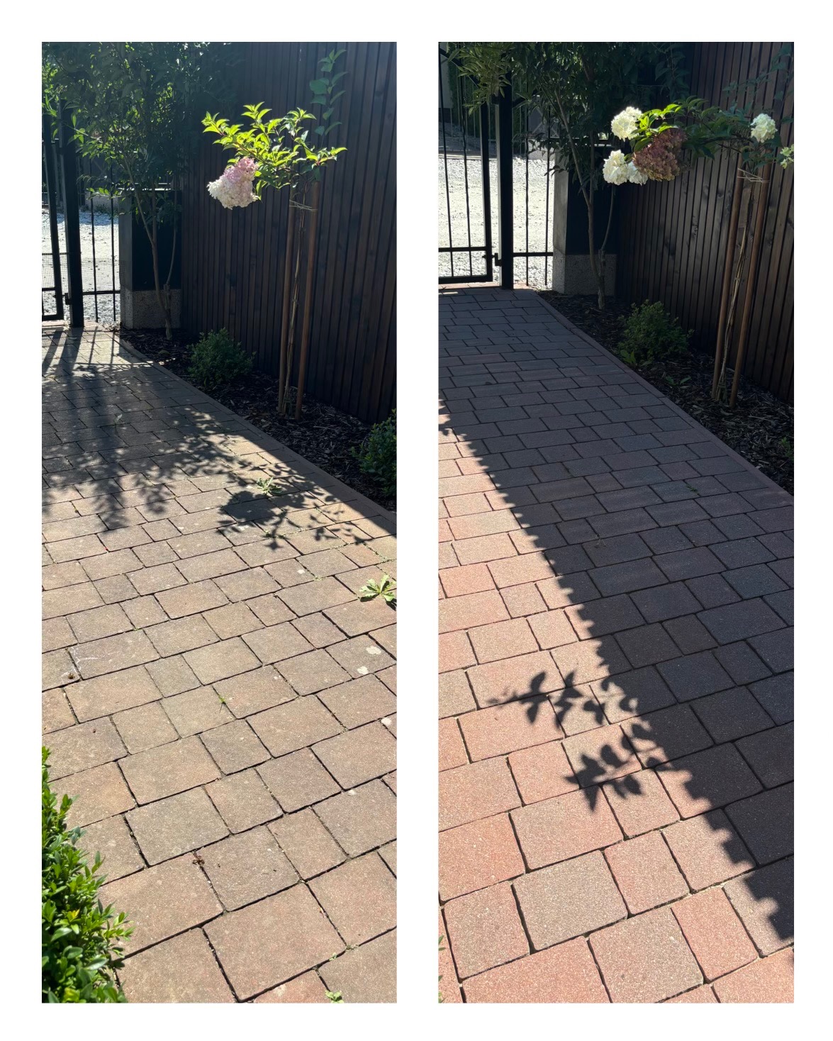 Porównanie stanu kostki brukowej przed i po czyszczeniu, z widocznym efektem usunięcia zabrudzeń i mchu, na tle ogrodzenia i roślinności.