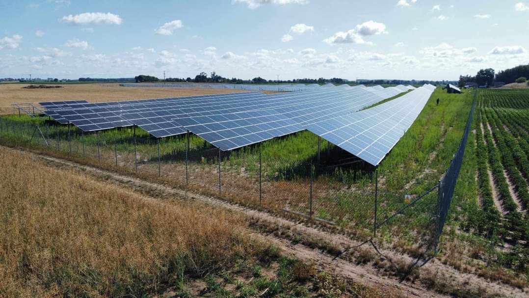 Rozległa farma paneli słonecznych na polu, ogrodzona siatką, z widoczną uprawą po prawej stronie i niebem z chmurami w tle.