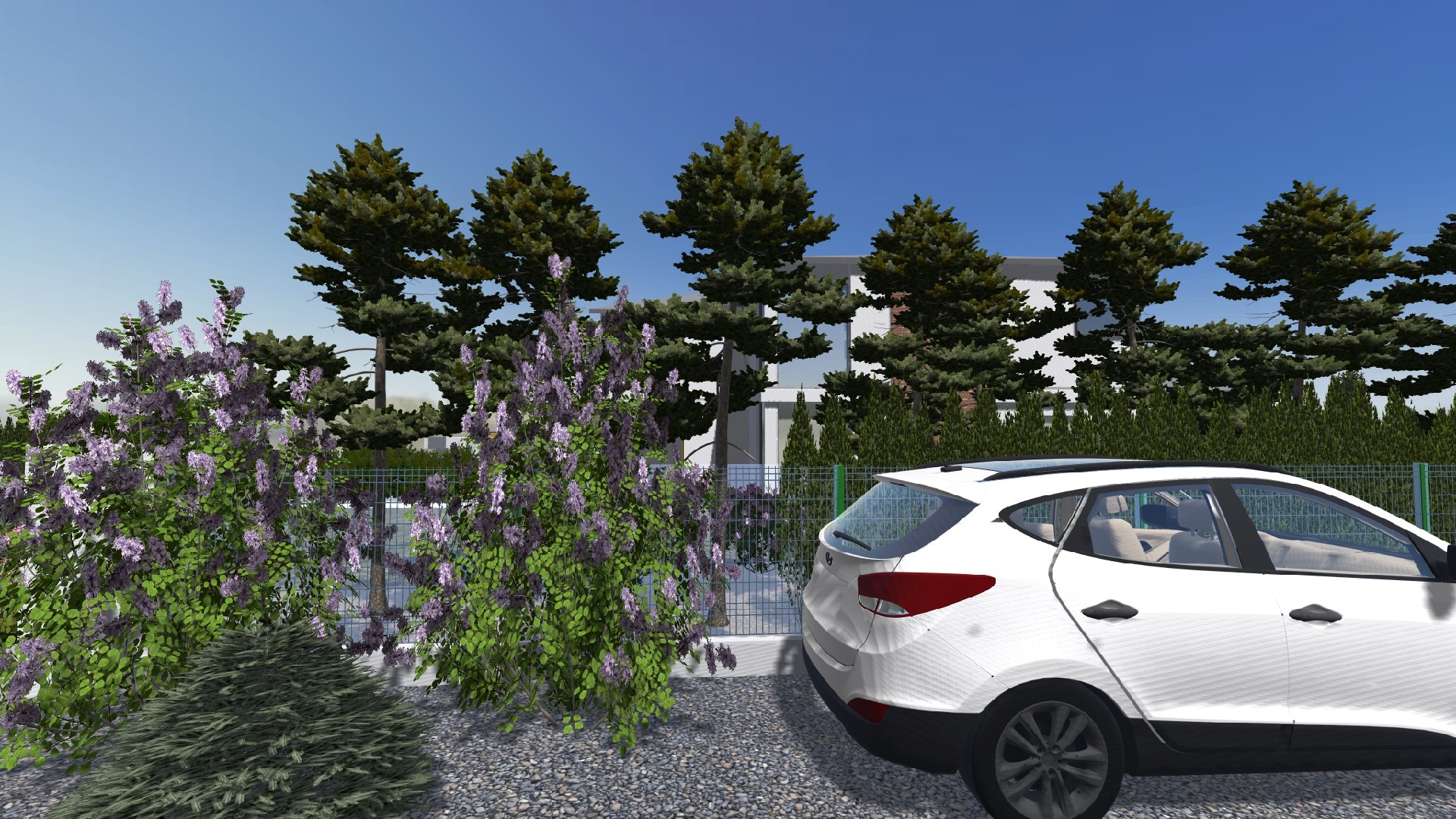 Wizualizacja ogrodu z kwitnącą glicynią przy ogrodzeniu i białym samochodem na żwirowym podjeździe, w tle nowoczesny dom otoczony iglakami.