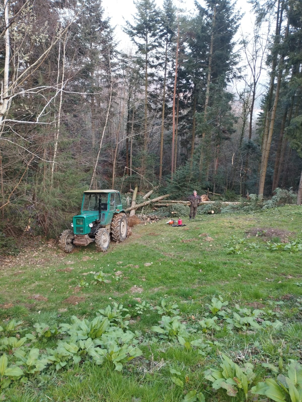 Zielony traktor na skraju lasu z powalonymi drzewami i pracownikiem w kamuflażu, obok leży piła łańcuchowa.