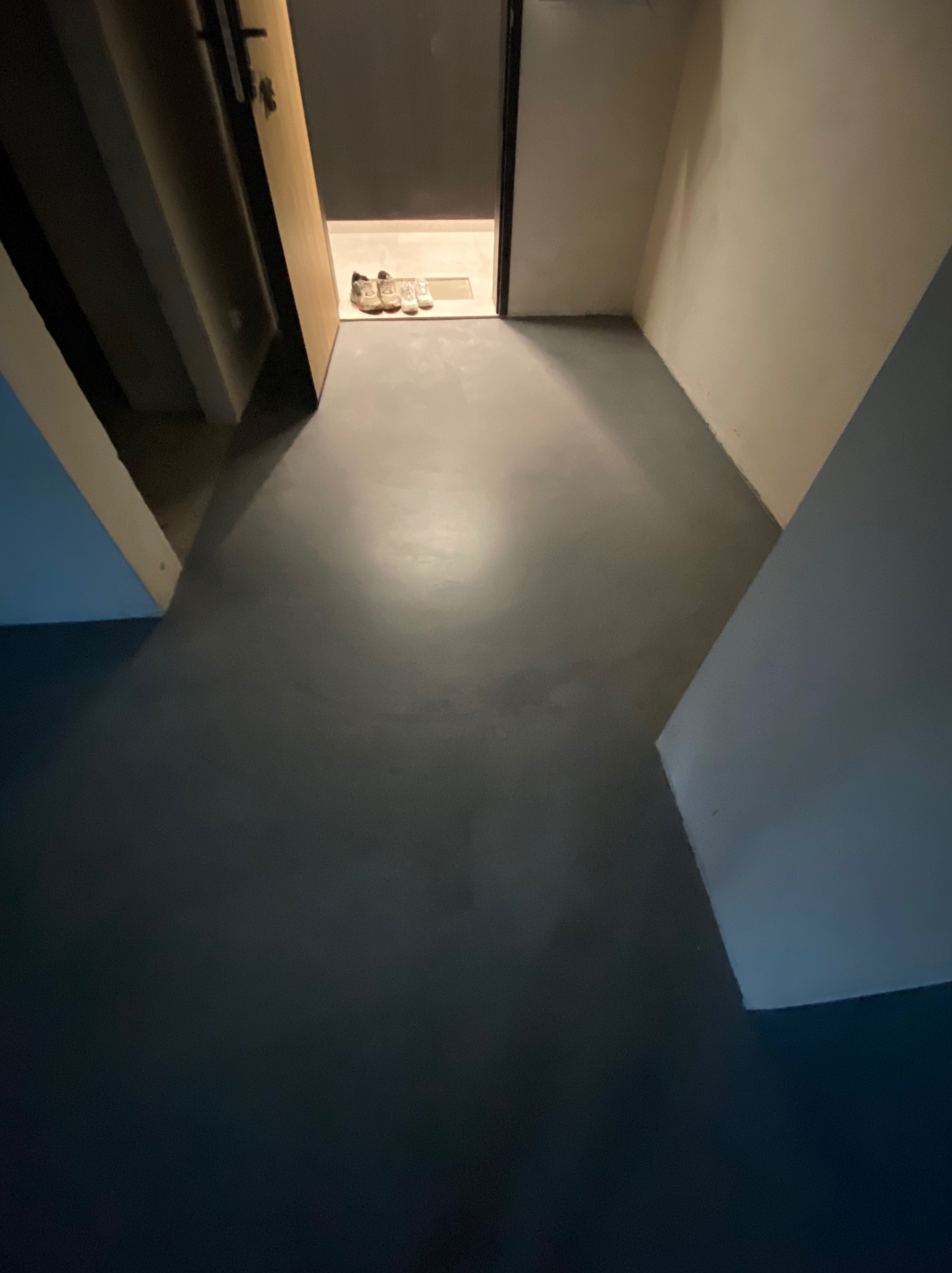 Szara, jednolita podłoga w korytarzu, widoczne buty przy drzwiach wejściowych, minimalistyczne wykończenie.