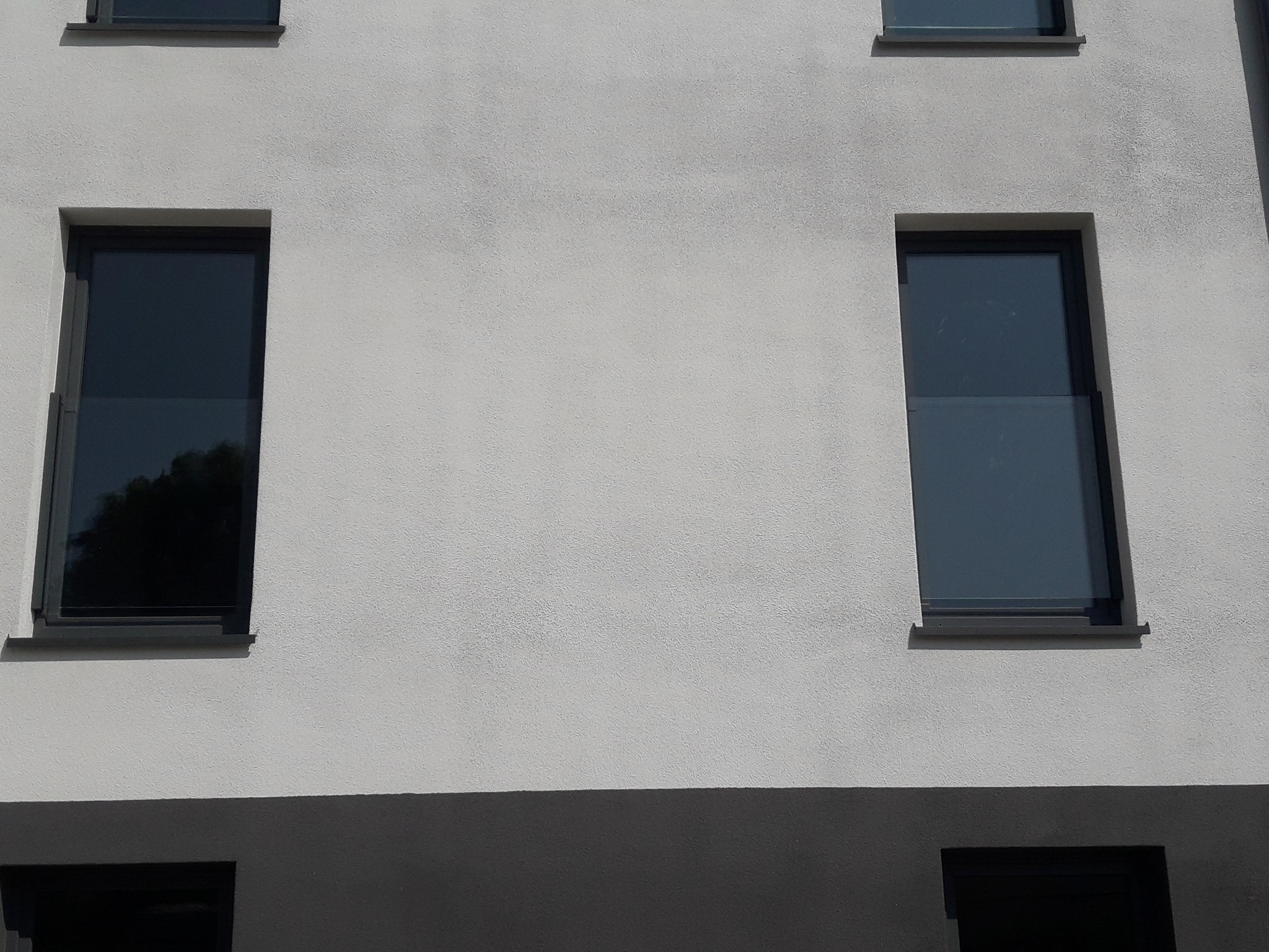 Elewacja budynku z dwoma prostokątnymi oknami z szarymi ramami i szkłem refleksyjnym, widoczne odbicie drzewa w jednym z okien.