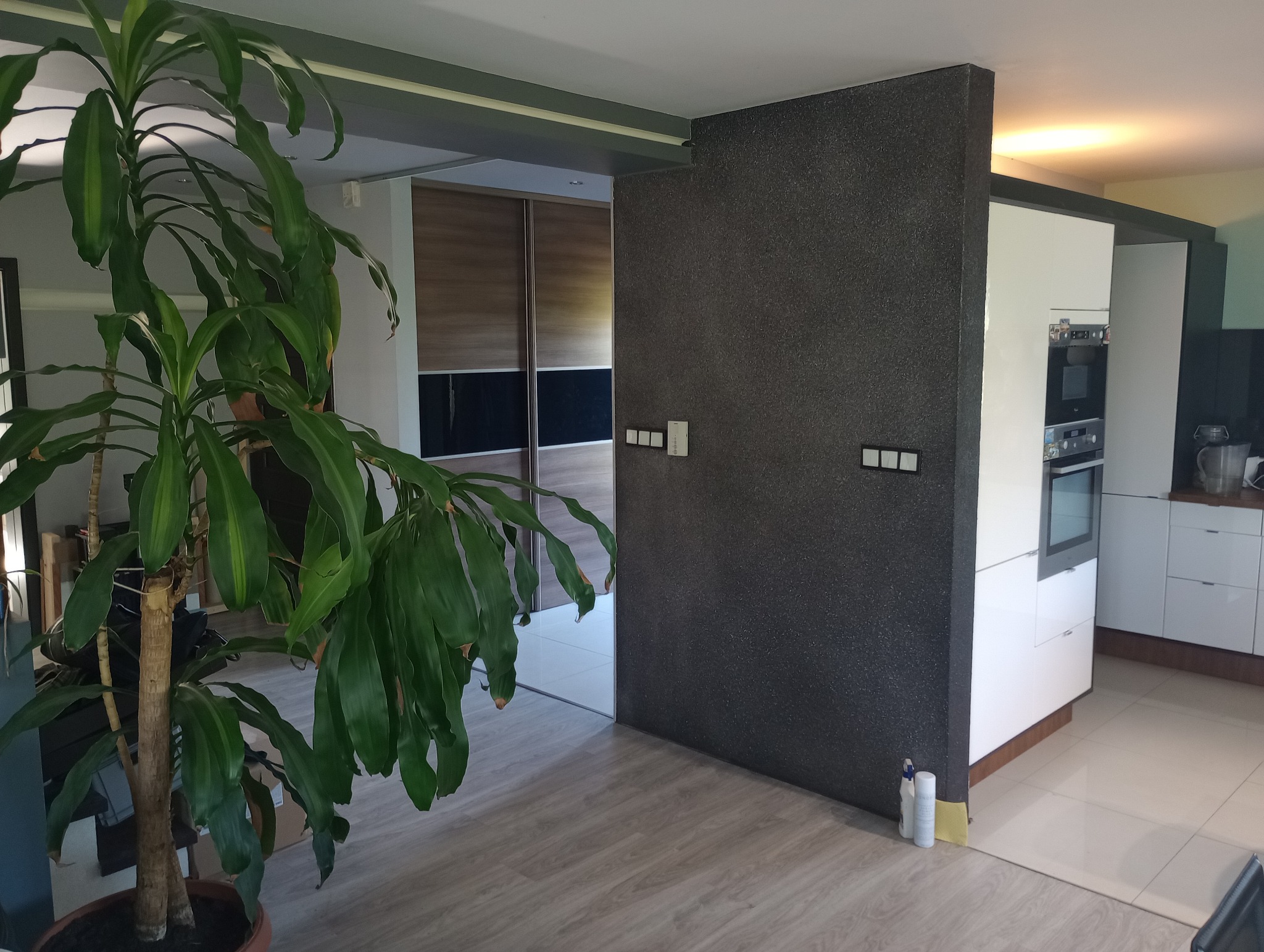 Wnętrze domu z widoczną szafą przesuwną, fragmentem ściany z fakturą, rośliną doniczkową i białą zabudową kuchenną z piekarnikiem.