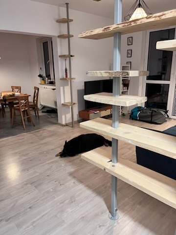 Wnętrze mieszkania z drewnianymi półkami na metalowych słupach, pies leży na podłodze, widok na jadalnię w tle.