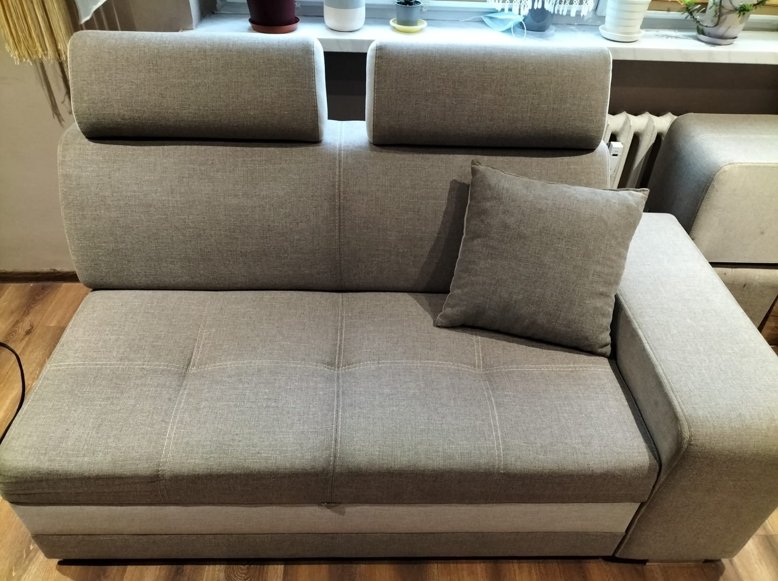 Szara, rozłożona kanapa z poduszką na boku, widoczna na tle okna z roślinami doniczkowymi, ukazana w dziennym świetle.