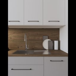 eMPe Pracownia sztuki - kreowanie przestrzeni wnętrz Paulina A. Matyja - projekt aneksu w Sosnowcu - wariant 1 ujęcie 5