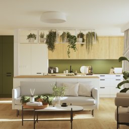 projekt salonu z aneksem Katowice