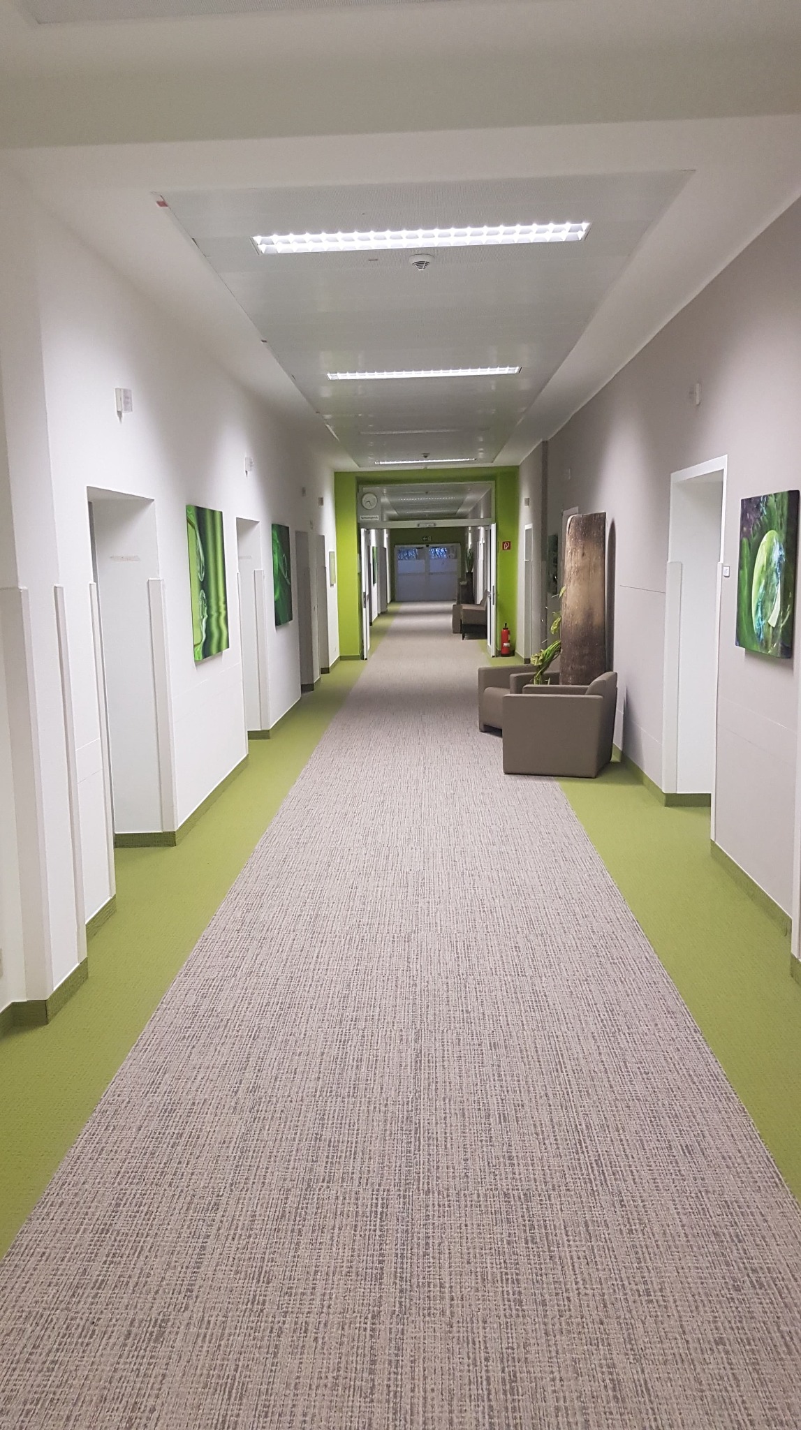 Długi, jasny korytarz biurowy z wykładziną dywanową w odcieniach beżu i zieleni, oświetlony lampami sufitowymi, z obrazami na ścianach i miejscami do siedzenia.