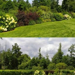 Zakładanie ogrodów Czerniewice 4