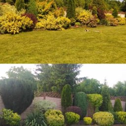 Lawendowy Ogród - Urozmaicony ogród z równo przystrzyżonym trawnikiem, ozdobnymi krzewami o różnorodnych kolorach i formach oraz iglakami, widoczne na dwóch ujęciach.