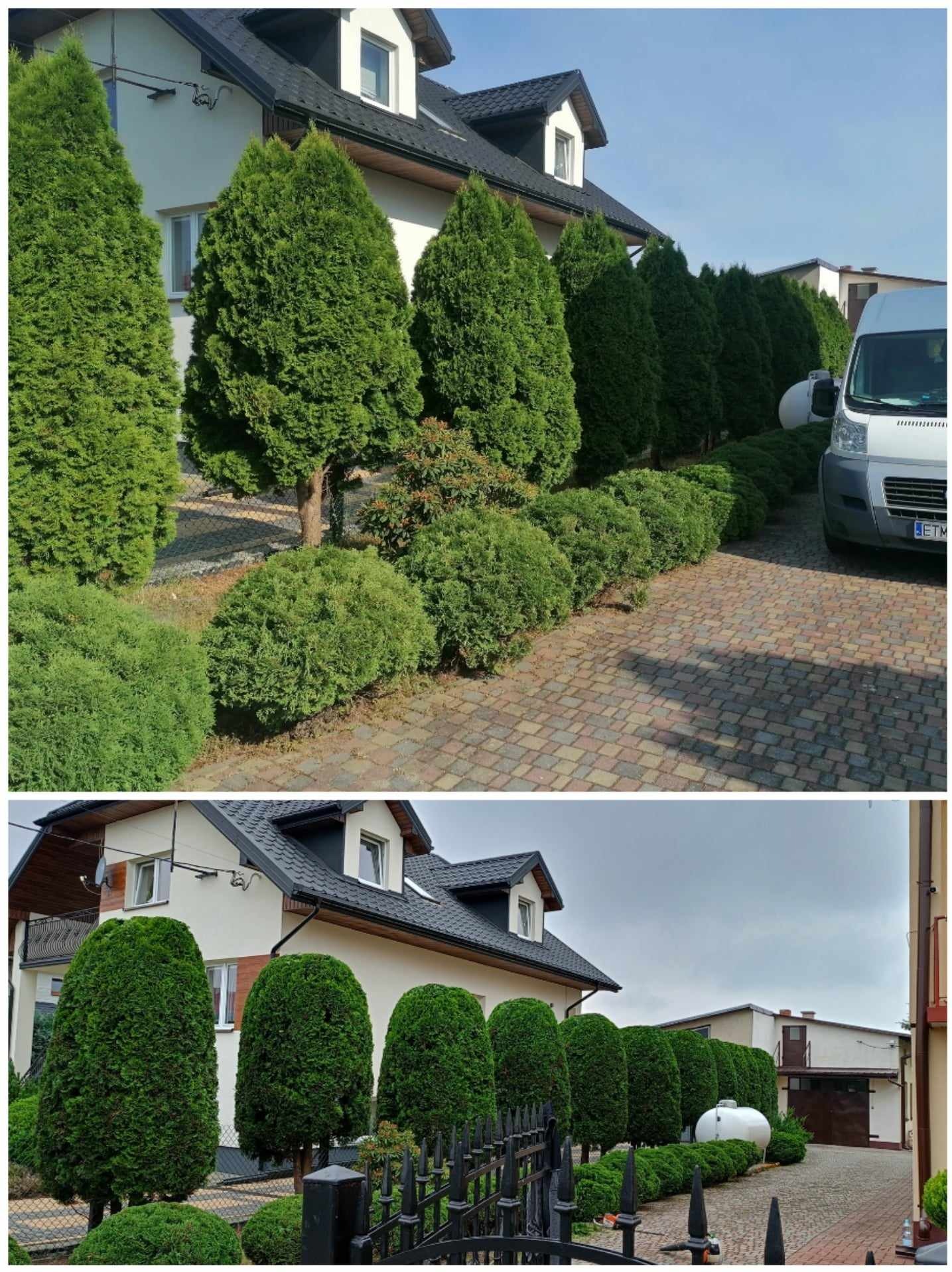 Dwa ujęcia posesji z równo przyciętymi tujami i kulistymi krzewami wzdłuż chodnika z kostki brukowej, w tle dom jednorodzinny z czarnym dachem.