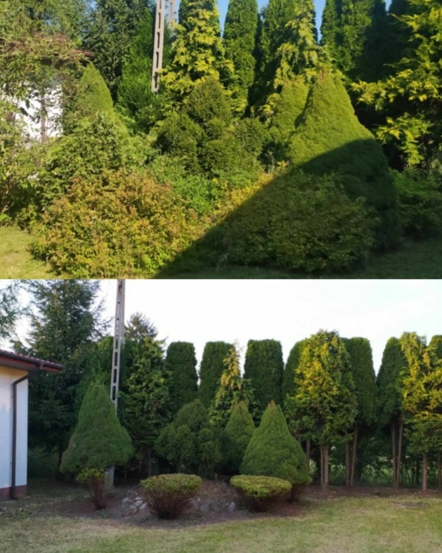 Porównanie dwóch kadrów: górny ukazuje zarośnięty ogród z drzewami i krzewami przed zabiegami pielęgnacyjnymi, dolny prezentuje ten sam ogród po przycięciu i uformowaniu roślin, z uporządkowanym...