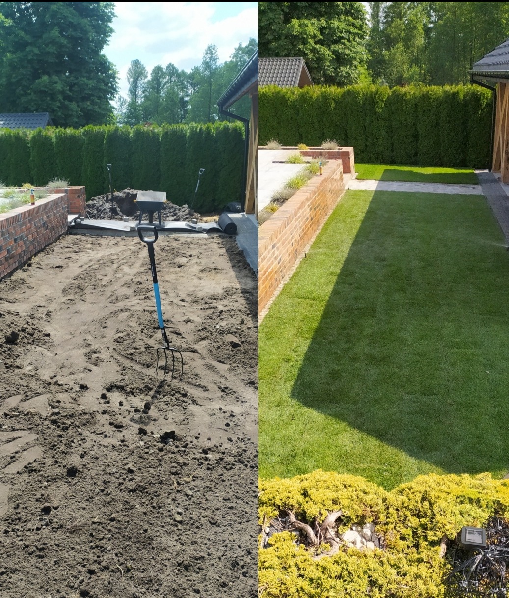 Porównanie stanu przed i po założeniu trawnika z rolki, widok na równy, zielony trawnik z rolki po prawej stronie i przygotowany teren z narzędziami po lewej stronie, obramowany ceglanym murem...