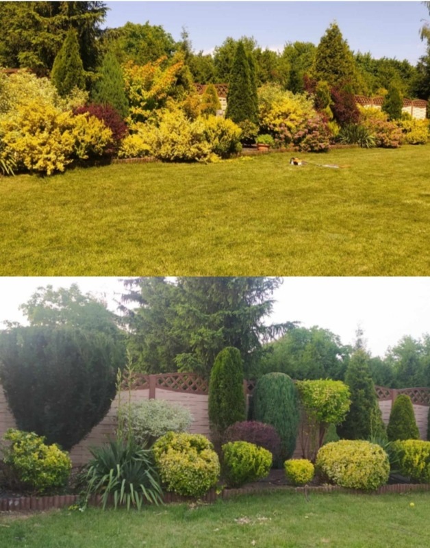 Urozmaicony ogród z równo przystrzyżonym trawnikiem, ozdobnymi krzewami o różnorodnych kolorach i formach oraz iglakami, widoczne na dwóch ujęciach.