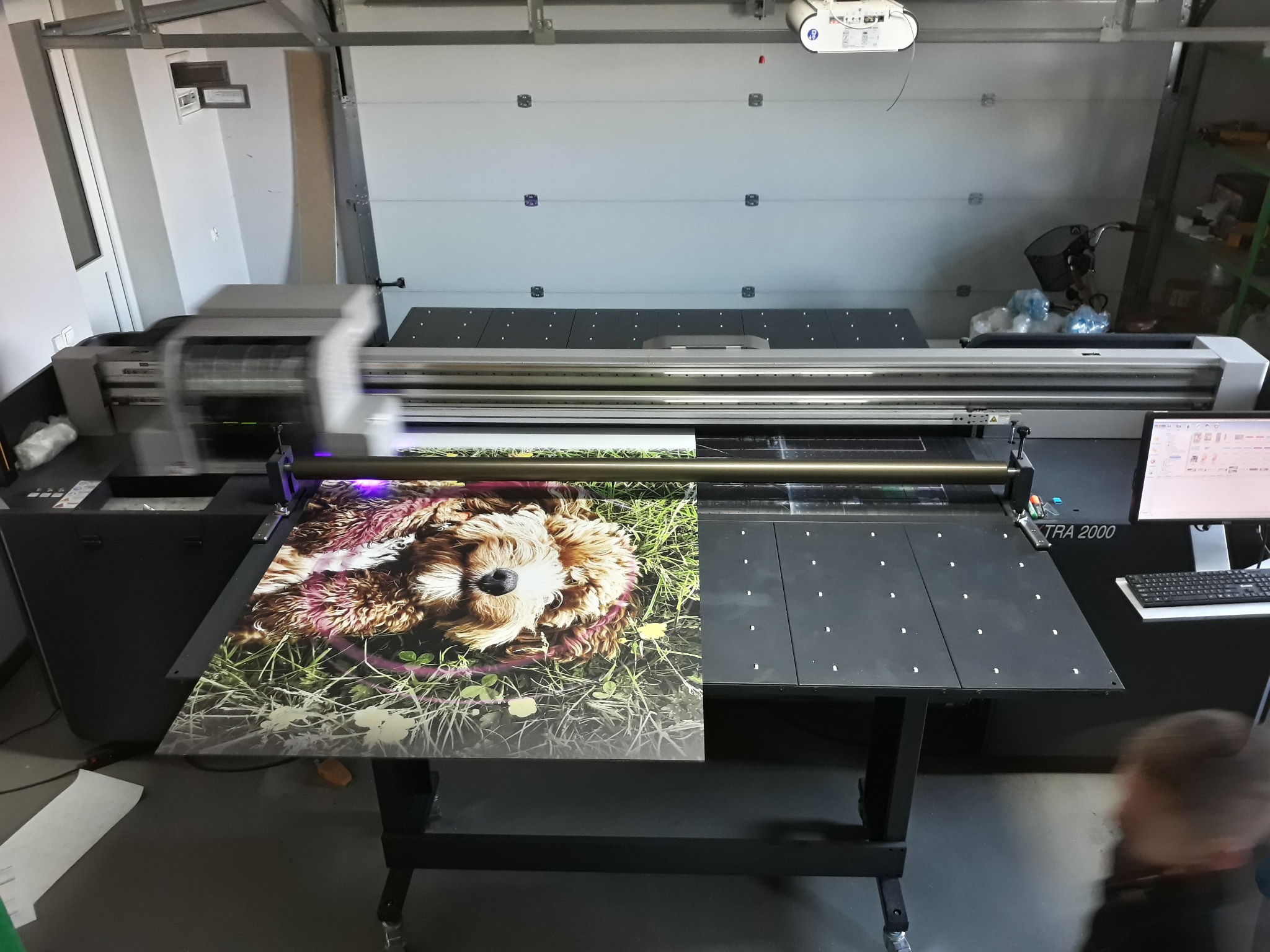 Wielkoformatowa drukarka atramentowa w trakcie drukowania obrazu psa leżącego na trawie, widoczny monitor komputera i fragment osoby.
