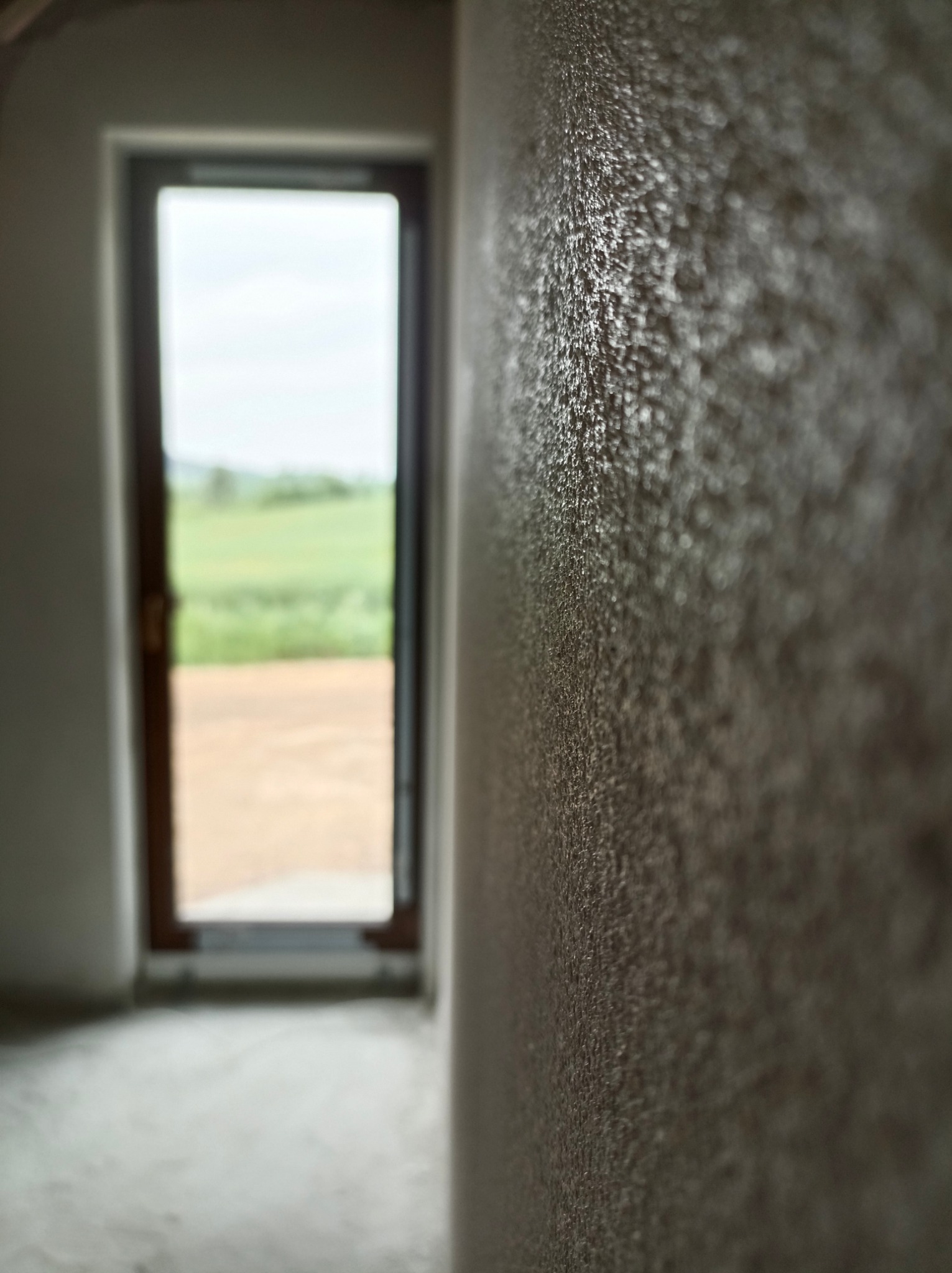 Świeżo nałożony tynk na ścianie, widoczna faktura, w tle drzwi balkonowe z widokiem na zielone pola.