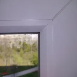 Brudna rama okienna z widocznymi śladami pleśni i zabrudzeń, z widokiem na zewnątrz na drzewa i chodnik.