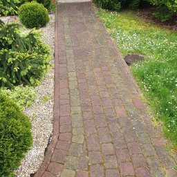 Jakub Pisarek Usługi - Wycinek obiektu przed myciem.