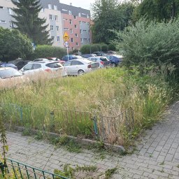 Jakub Pisarek Usługi - Porządkowanie terenu wspólnoty mieszkaniowej.