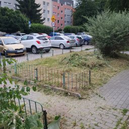 Jakub Pisarek Usługi - Świeżo skoszona trawa i przycięte gałęzie na terenie wspólnoty mieszkaniowej, z zaparkowanymi samochodami w tle i fragmentem chodnika z kostki brukowej.