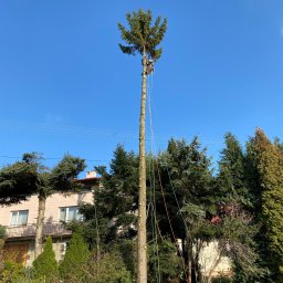 Malowanie dachów Kielanówka 1