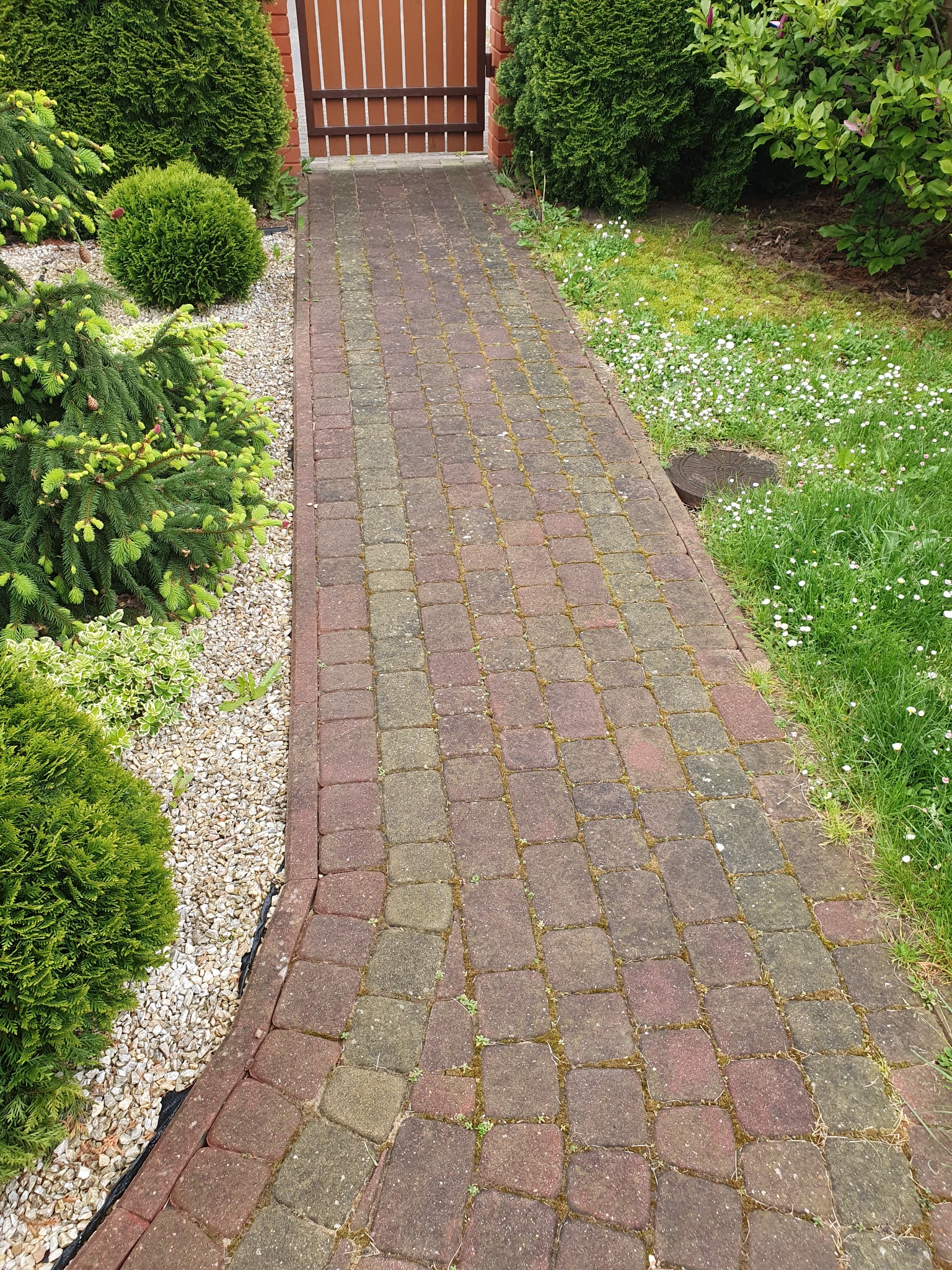 Wycinek obiektu przed myciem.