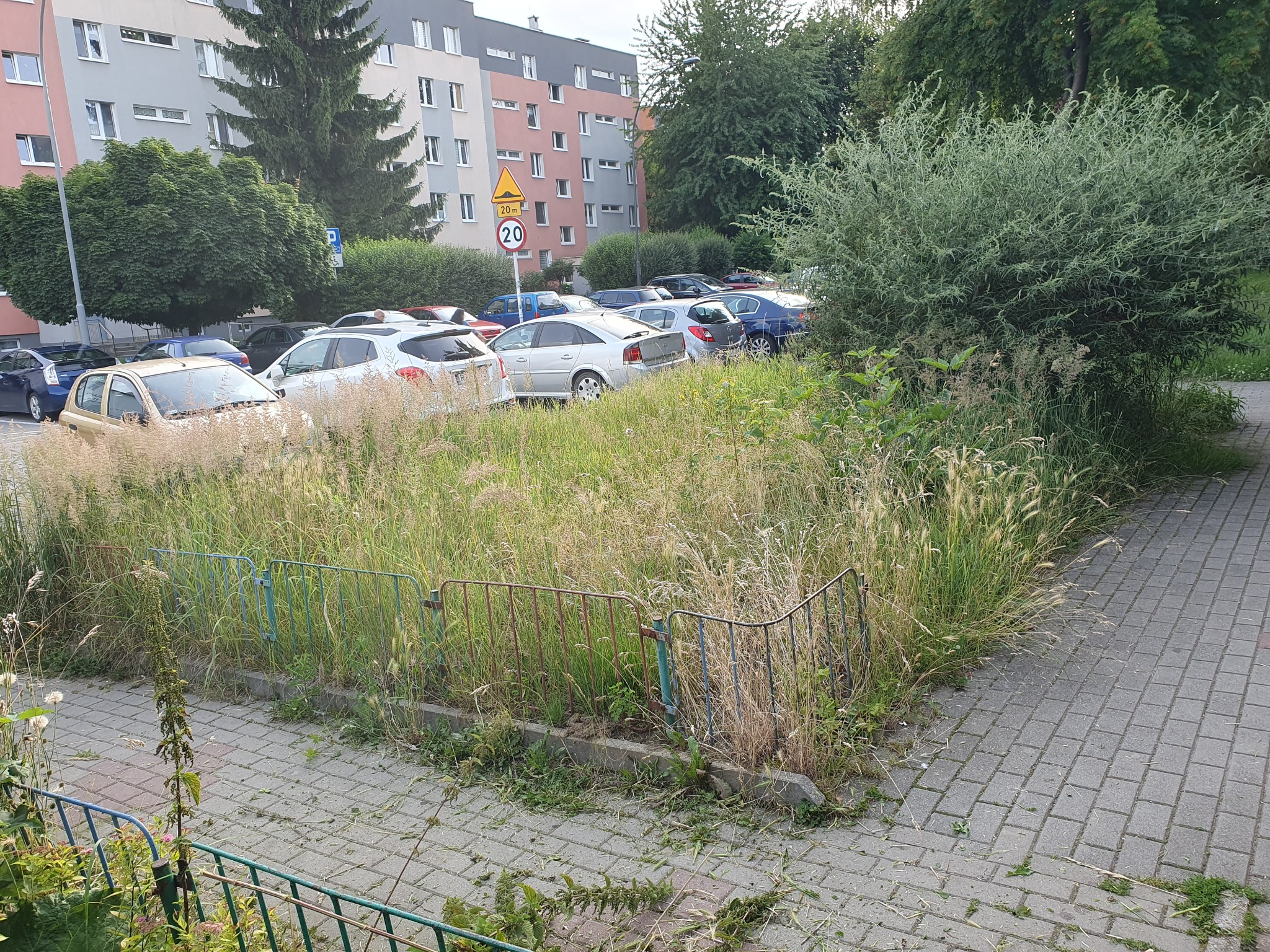 Porządkowanie terenu wspólnoty mieszkaniowej.